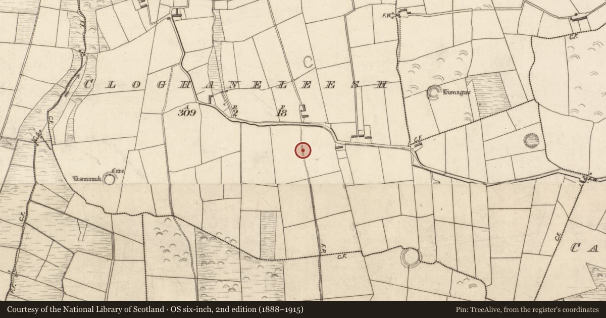 Ordnance Survey six-inch map, 2nd edition (1888–1915) covering the location of Ringfort - rath, Cloghaneleesh, County Kerry, with a pin at the register's coordinates