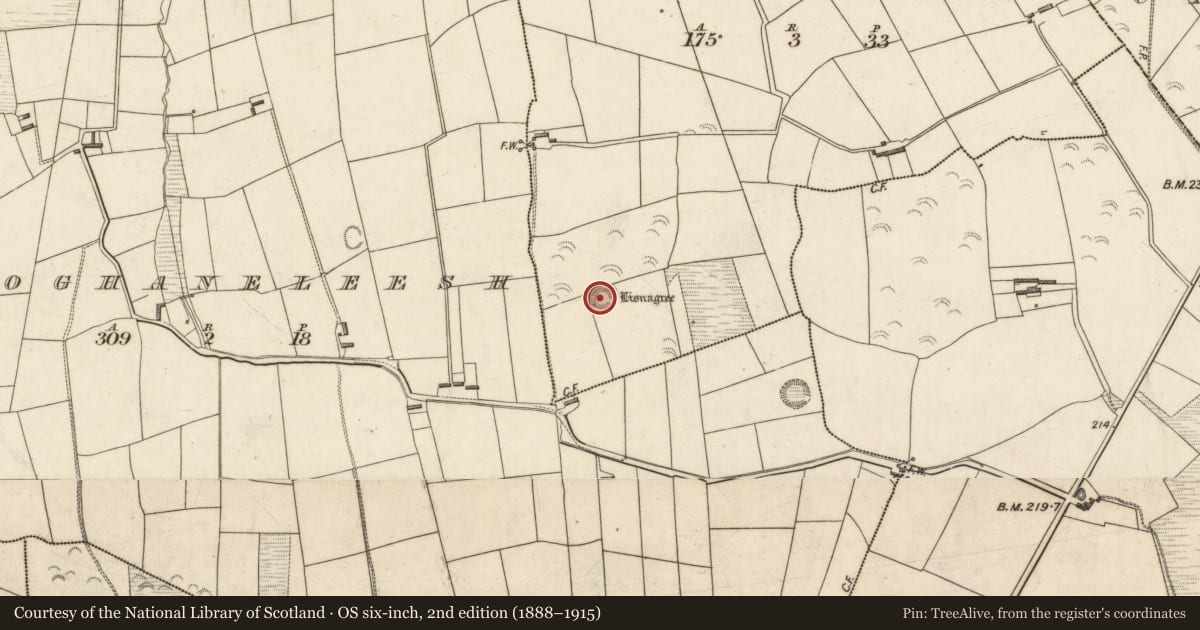 Ordnance Survey six-inch map, 2nd edition (1888–1915) covering the location of House - indeterminate date, Cloghanebane, County Kerry, with a pin at the register's coordinates
