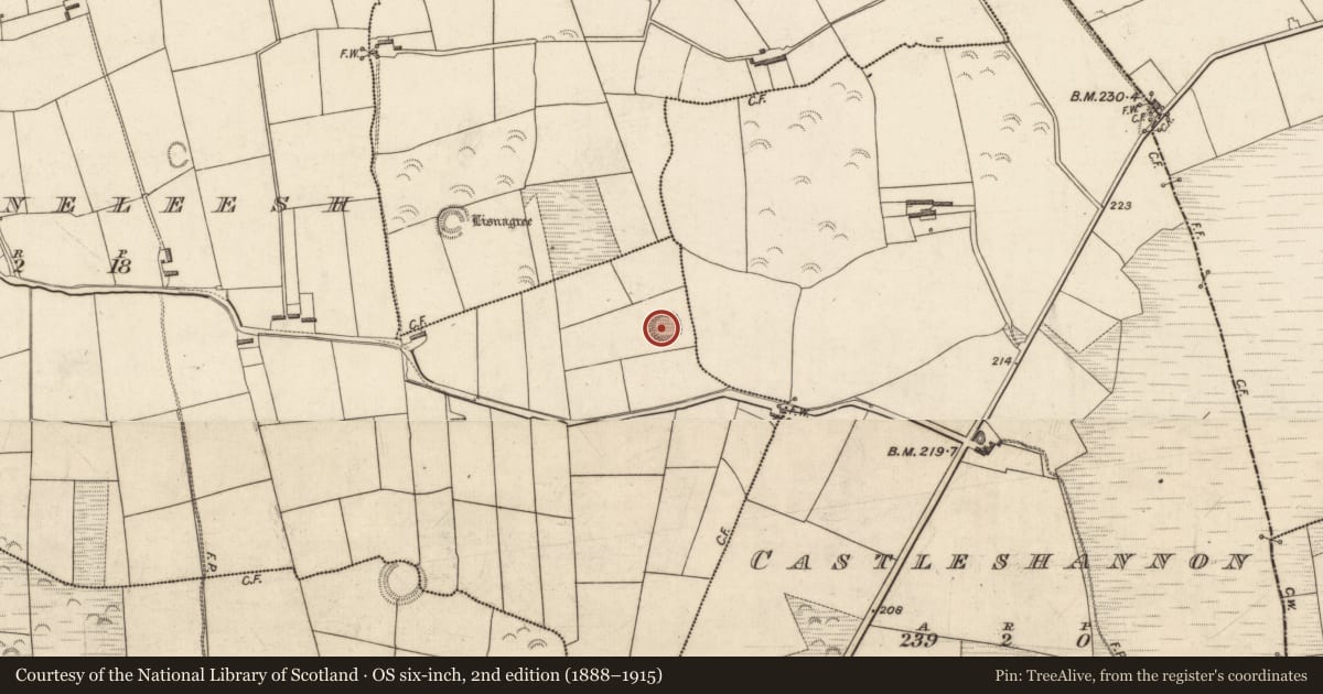Ordnance Survey six-inch map, 2nd edition (1888–1915) covering the location of Ringfort - rath, Cloghaneleesh, County Kerry, with a pin at the register's coordinates