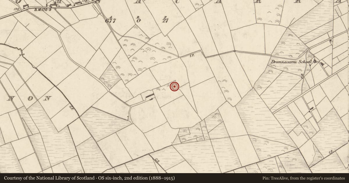 Ordnance Survey six-inch map, 2nd edition (1888–1915) covering the location of Ringfort - rath, Dromnacarra, County Kerry, with a pin at the register's coordinates