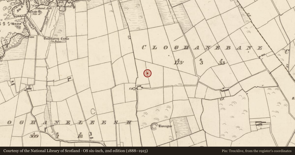 Ordnance Survey six-inch map, 2nd edition (1888–1915) covering the location of Enclosure, Cloghanebane, County Kerry, with a pin at the register's coordinates