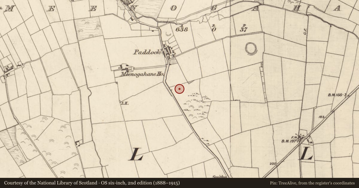 Ordnance Survey six-inch map, 2nd edition (1888–1915) covering the location of Enclosure, Meenogahane, County Kerry, with a pin at the register's coordinates