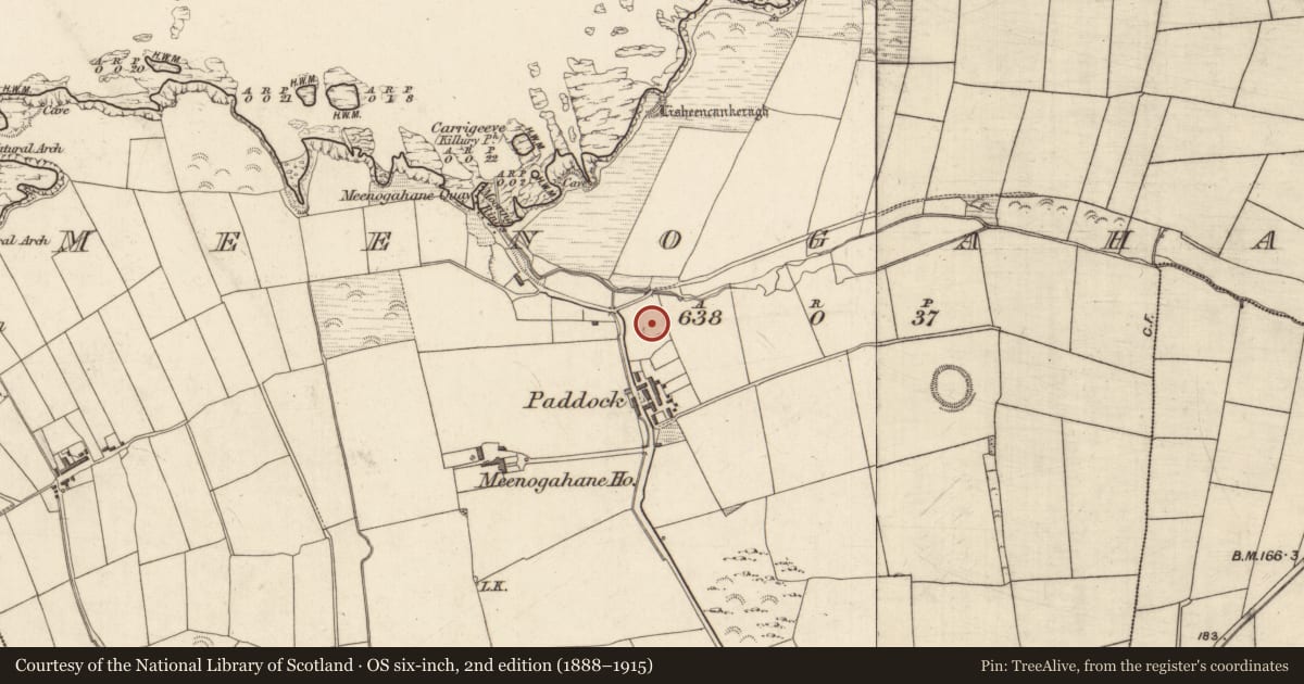 Ordnance Survey six-inch map, 2nd edition (1888–1915) covering the location of Enclosure, Meenogahane, County Kerry, with a pin at the register's coordinates