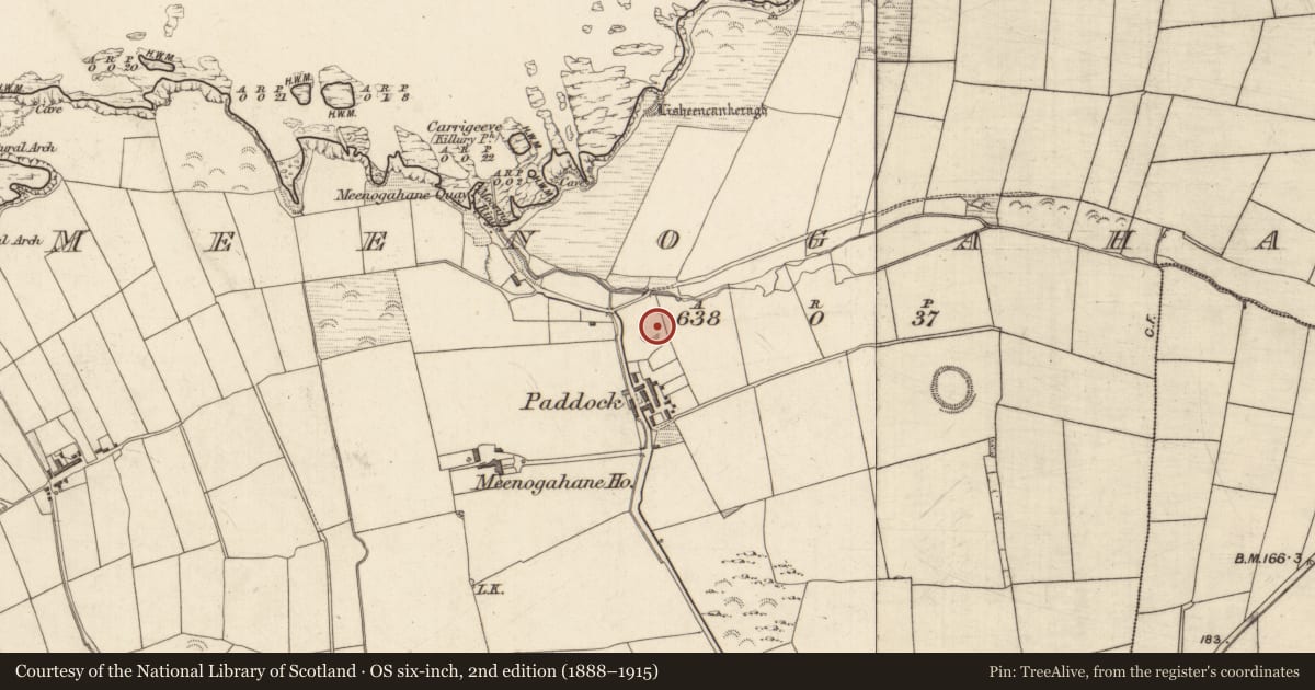 Ordnance Survey six-inch map, 2nd edition (1888–1915) covering the location of Enclosure, Meenogahane, County Kerry, with a pin at the register's coordinates