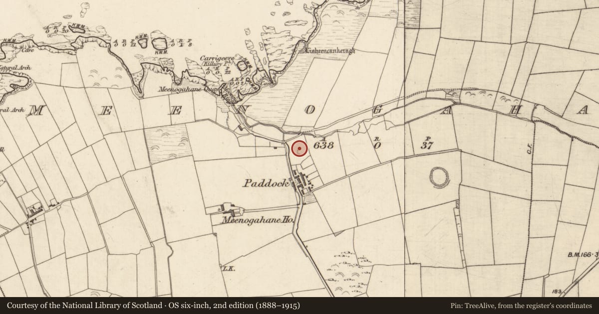 Ordnance Survey six-inch map, 2nd edition (1888–1915) covering the location of Enclosure, Meenogahane, County Kerry, with a pin at the register's coordinates