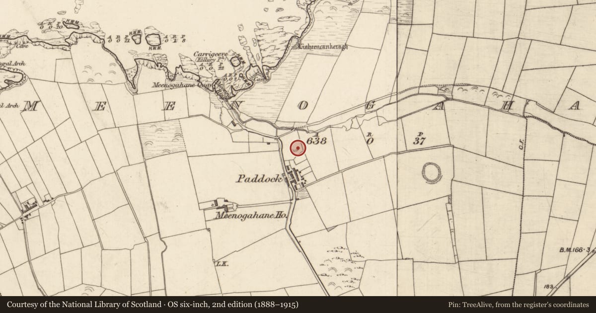 Ordnance Survey six-inch map, 2nd edition (1888–1915) covering the location of Souterrain, Meenogahane, County Kerry, with a pin at the register's coordinates