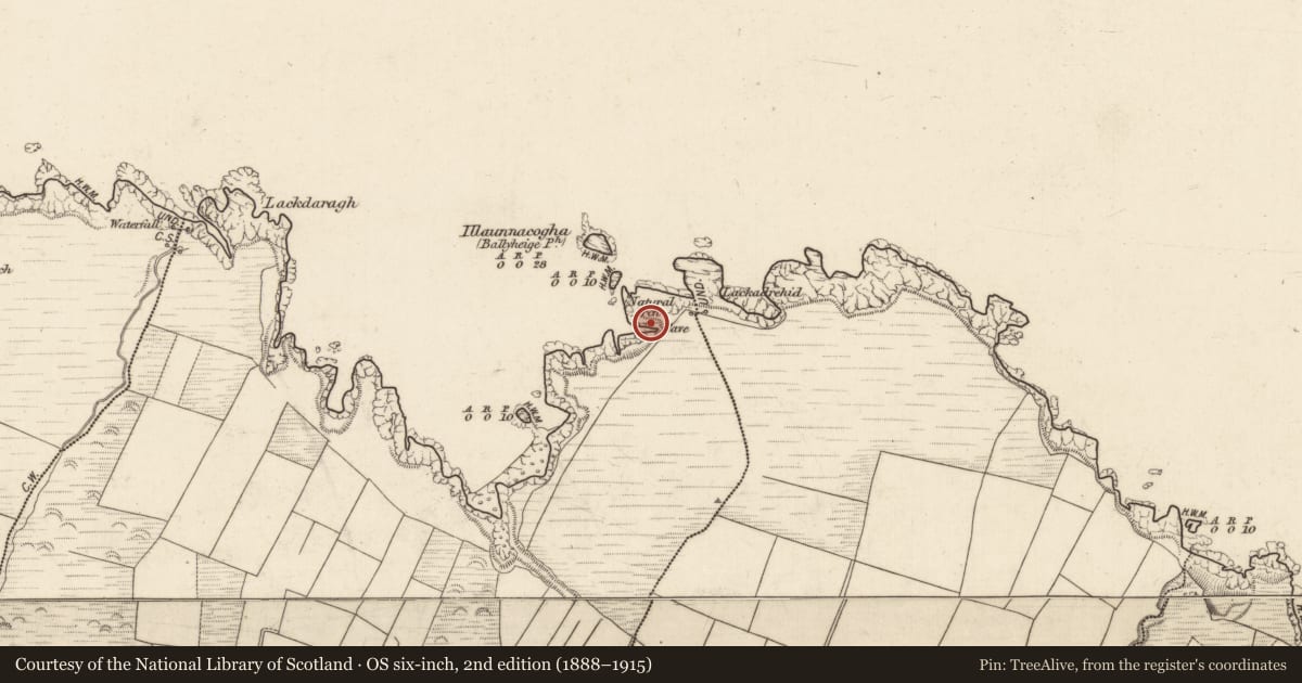 Ordnance Survey six-inch map, 2nd edition (1888–1915) covering the location of Promontory fort - coastal, Maulin, County Kerry, with a pin at the register's coordinates