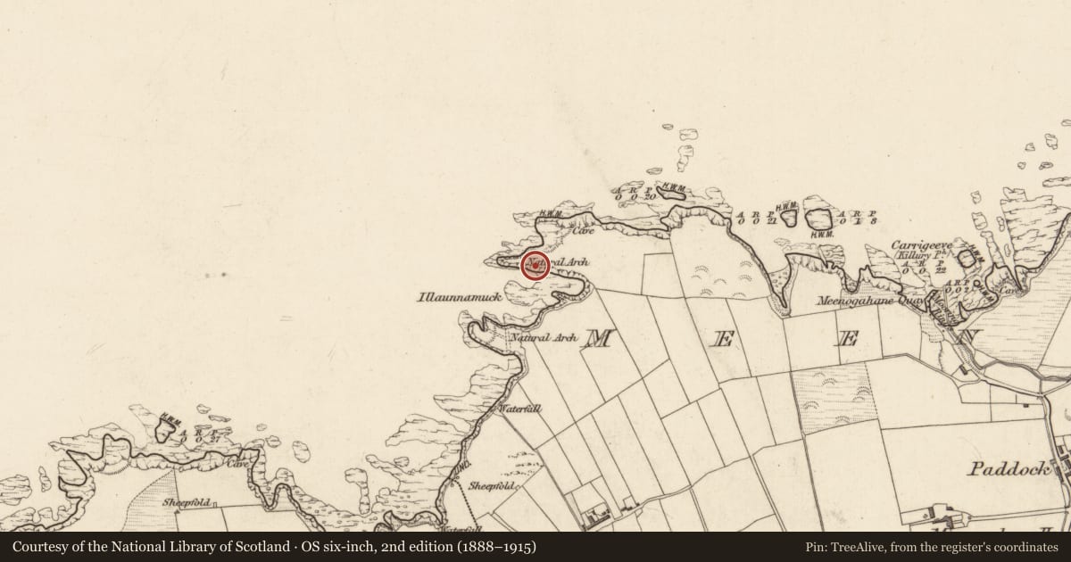 Ordnance Survey six-inch map, 2nd edition (1888–1915) covering the location of Promontory fort - coastal, Meenogahane, County Kerry, with a pin at the register's coordinates