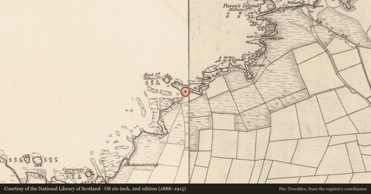 Ordnance Survey six-inch map, 2nd edition (1888–1915) covering the location of Promontory fort - coastal, Meenogahane, County Kerry, with a pin at the register's coordinates