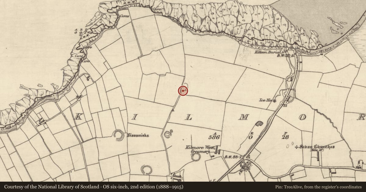 Ordnance Survey six-inch map, 2nd edition (1888–1915) covering the location of Ringfort - cashel, Kilmore, County Kerry, with a pin at the register's coordinates