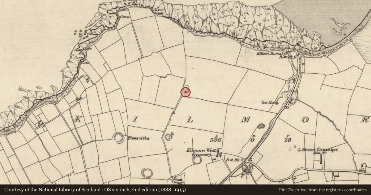 Ordnance Survey six-inch map, 2nd edition (1888–1915) covering the location of Souterrain, Kilmore, County Kerry, with a pin at the register's coordinates