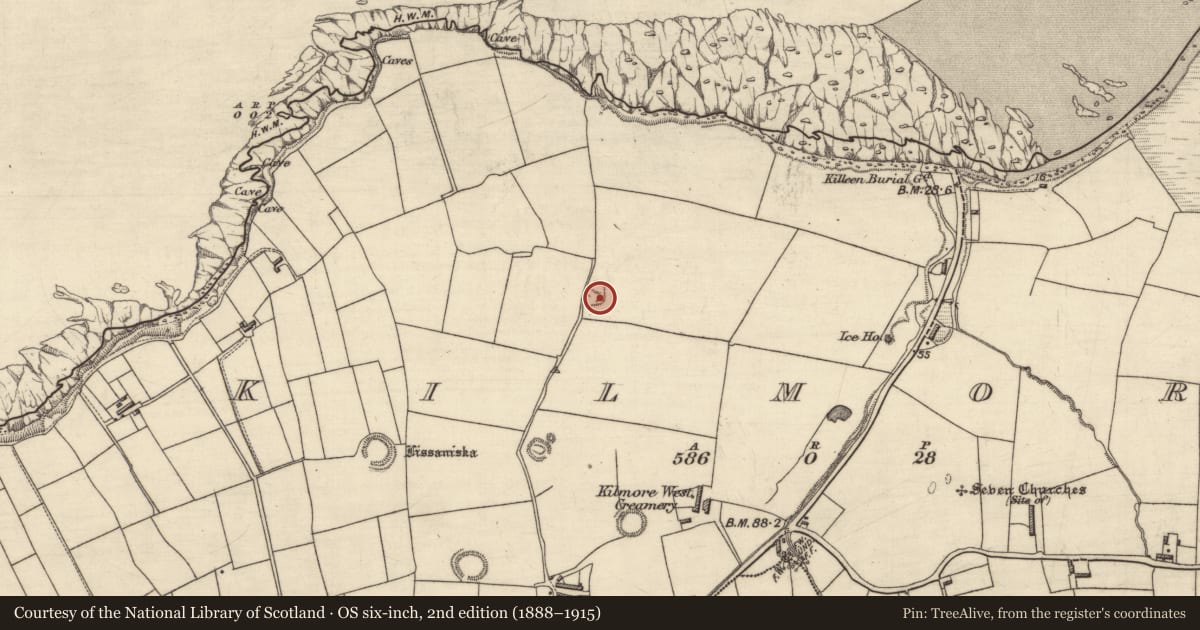 Ordnance Survey six-inch map, 2nd edition (1888–1915) covering the location of Bastioned fort, Kilmore, County Kerry, with a pin at the register's coordinates