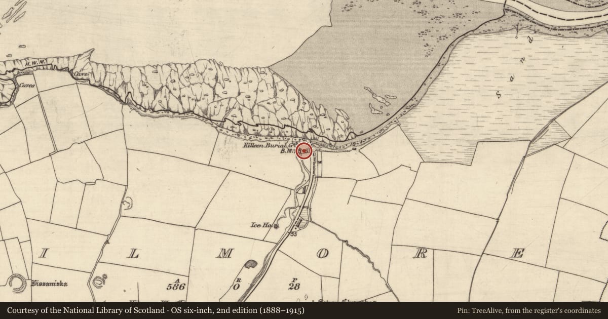 Ordnance Survey six-inch map, 2nd edition (1888–1915) covering the location of Children's burial ground, Kilmore, County Kerry, with a pin at the register's coordinates