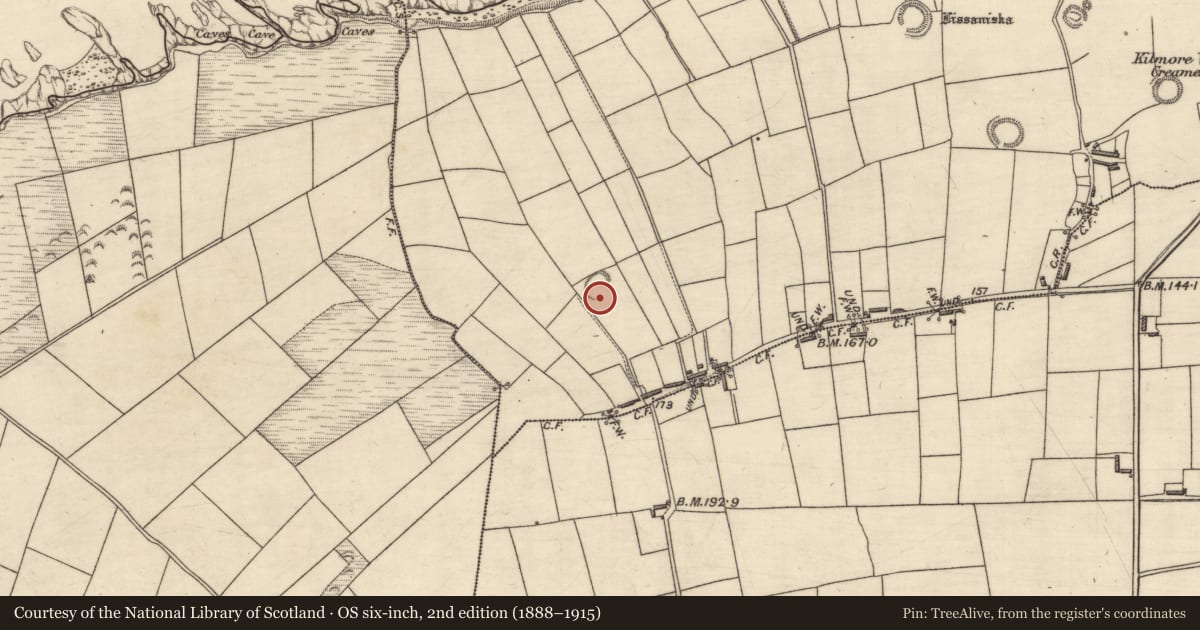 Ordnance Survey six-inch map, 2nd edition (1888–1915) covering the location of Ringfort - rath, Kilmore, County Kerry, with a pin at the register's coordinates