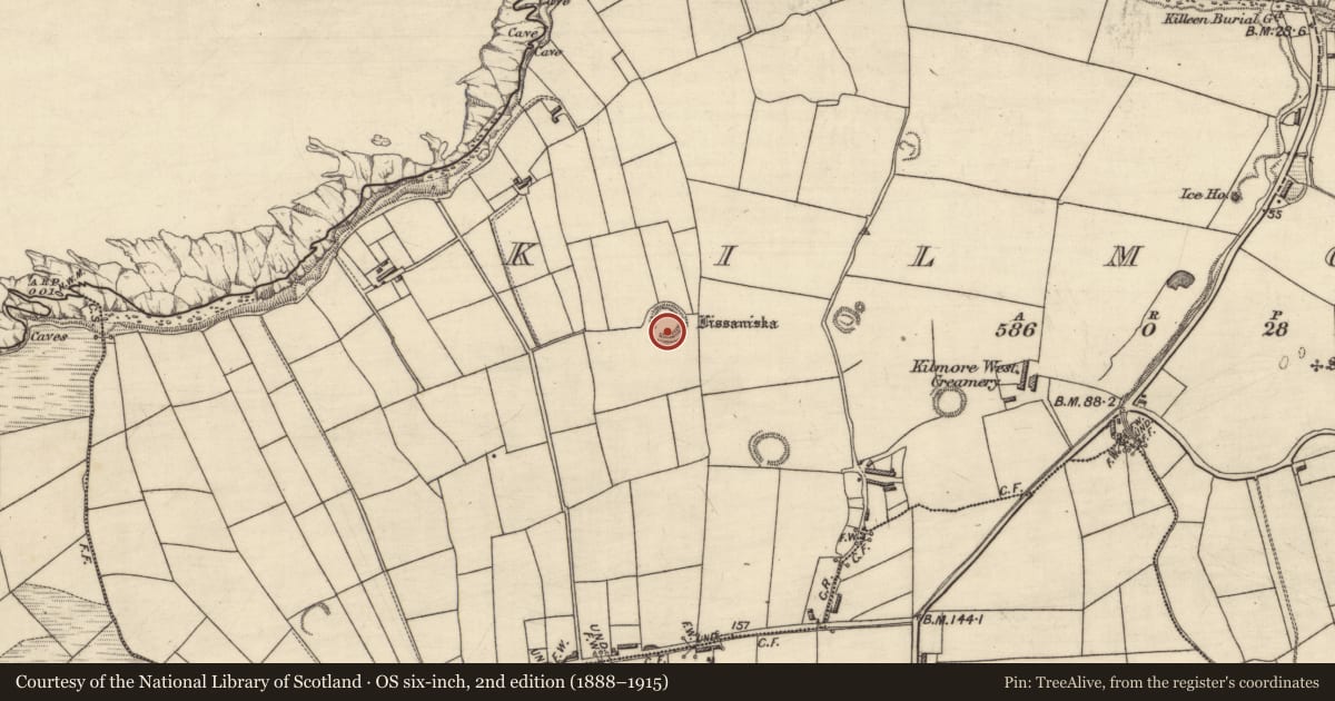 Ordnance Survey six-inch map, 2nd edition (1888–1915) covering the location of Ringfort - rath, Kilmore, County Kerry, with a pin at the register's coordinates