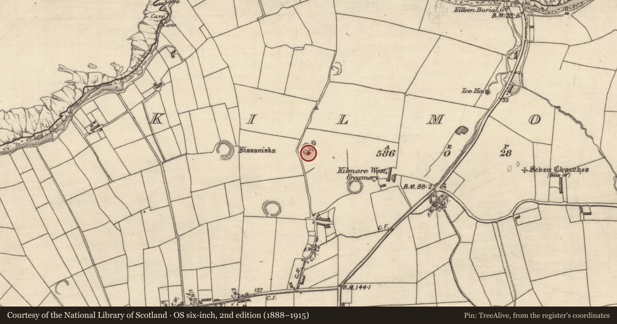 Ordnance Survey six-inch map, 2nd edition (1888–1915) covering the location of Ringfort - rath, Kilmore, County Kerry, with a pin at the register's coordinates