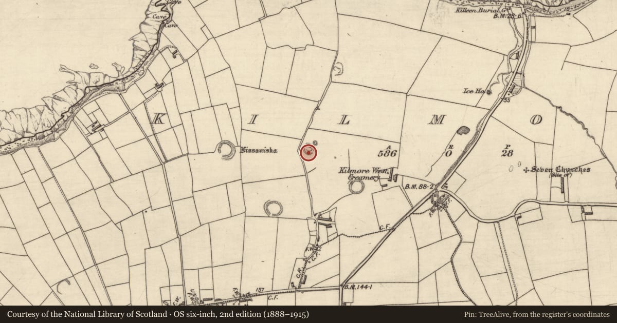 Ordnance Survey six-inch map, 2nd edition (1888–1915) covering the location of Hut site, Kilmore, County Kerry, with a pin at the register's coordinates
