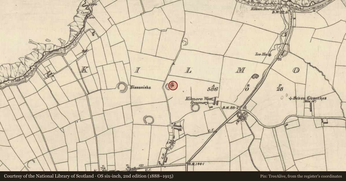 Ordnance Survey six-inch map, 2nd edition (1888–1915) covering the location of Hut site, Kilmore, County Kerry, with a pin at the register's coordinates