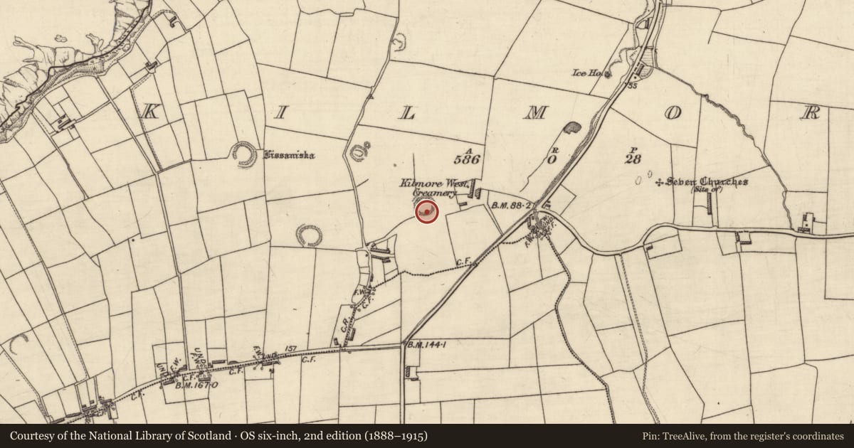 Ordnance Survey six-inch map, 2nd edition (1888–1915) covering the location of Ringfort - rath, Kilmore, County Kerry, with a pin at the register's coordinates