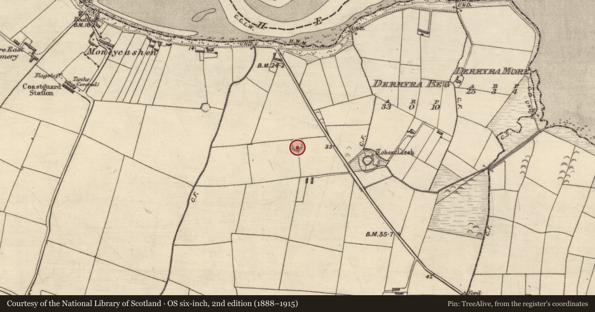 Ordnance Survey six-inch map, 2nd edition (1888–1915) covering the location of Ringfort - rath, Knoppoge, County Kerry, with a pin at the register's coordinates