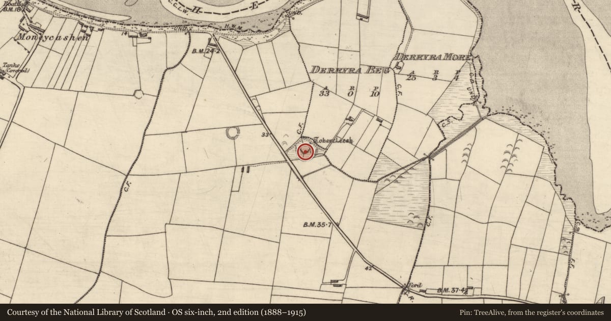 Ordnance Survey six-inch map, 2nd edition (1888–1915) covering the location of Enclosure, Knoppoge, County Kerry, with a pin at the register's coordinates
