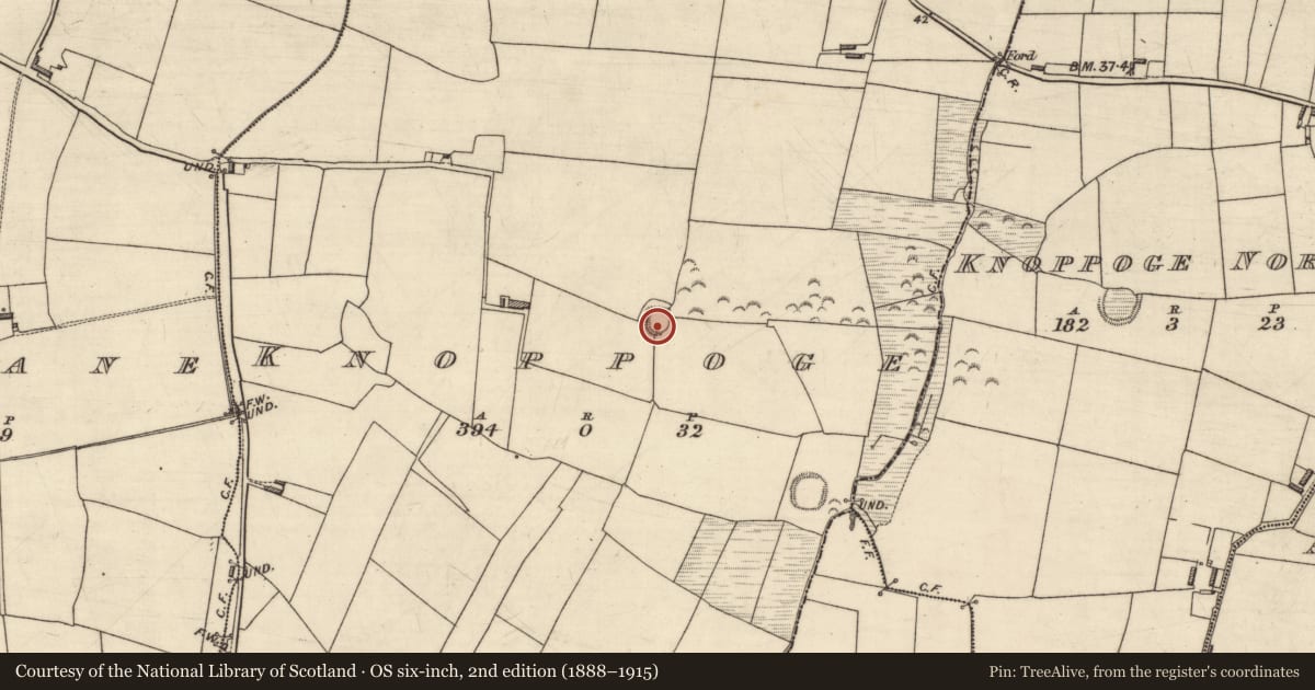 Ordnance Survey six-inch map, 2nd edition (1888–1915) covering the location of Ringfort - rath, Knoppoge, County Kerry, with a pin at the register's coordinates