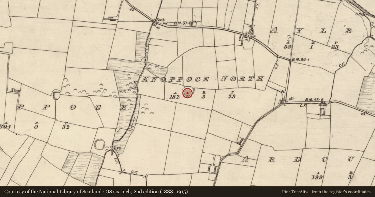 Ordnance Survey six-inch map, 2nd edition (1888–1915) covering the location of Ringfort - rath, Knoppoge North, County Kerry, with a pin at the register's coordinates
