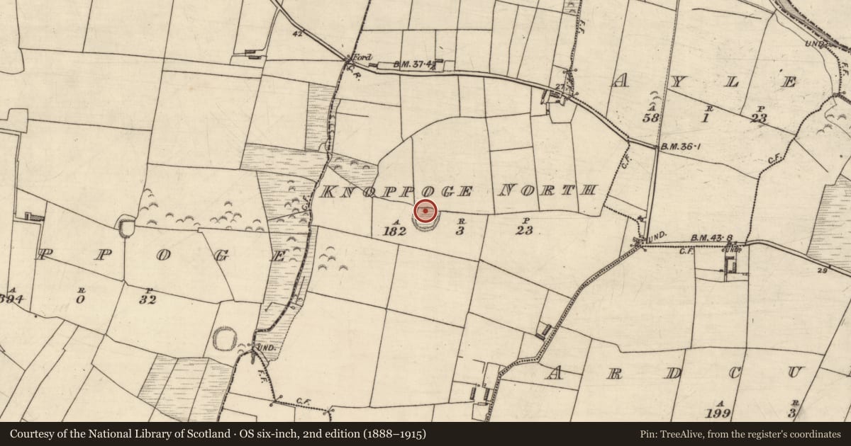 Ordnance Survey six-inch map, 2nd edition (1888–1915) covering the location of Road - road/trackway, Knoppoge North, County Kerry, with a pin at the register's coordinates