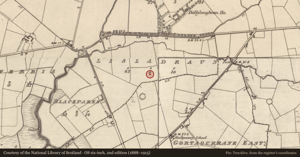 Ordnance Survey six-inch map, 2nd edition (1888–1915) covering the location of Enclosure, Lisladraun, County Kerry, with a pin at the register's coordinates