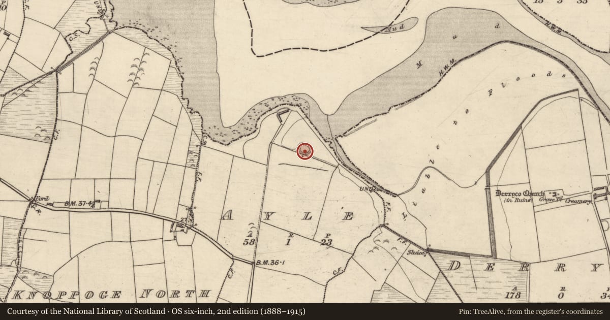 Ordnance Survey six-inch map, 2nd edition (1888–1915) covering the location of Ringfort - rath, Ayle, County Kerry, with a pin at the register's coordinates