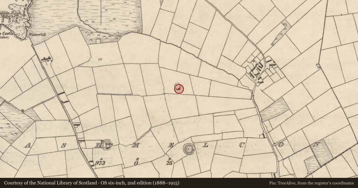 Ordnance Survey six-inch map, 2nd edition (1888–1915) covering the location of Souterrain, Clashmelcon, County Kerry, with a pin at the register's coordinates
