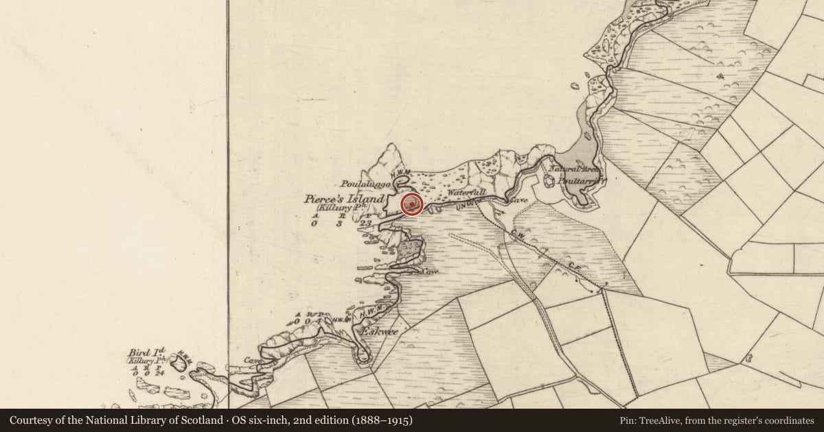 Ordnance Survey six-inch map, 2nd edition (1888–1915) covering the location of Habitation site, Pierce'S Island, County Kerry, with a pin at the register's coordinates