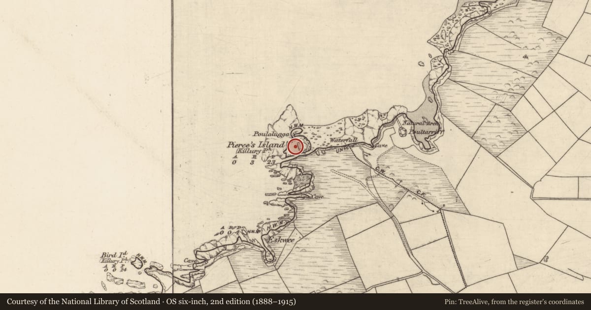 Ordnance Survey six-inch map, 2nd edition (1888–1915) covering the location of Mine - lead, Pierce'S Island, County Kerry, with a pin at the register's coordinates