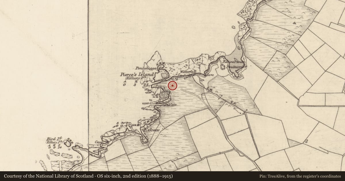 Ordnance Survey six-inch map, 2nd edition (1888–1915) covering the location of Promontory fort - coastal, Meenogahane, County Kerry, with a pin at the register's coordinates