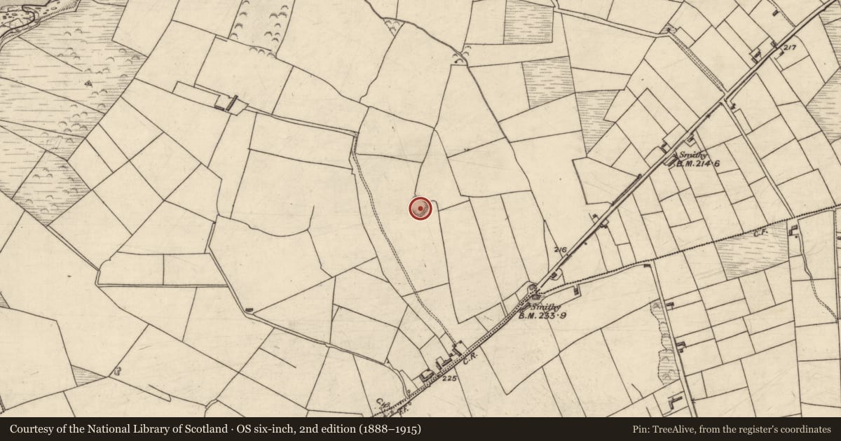 Ordnance Survey six-inch map, 2nd edition (1888–1915) covering the location of Ringfort - rath, Clashmelcon, County Kerry, with a pin at the register's coordinates