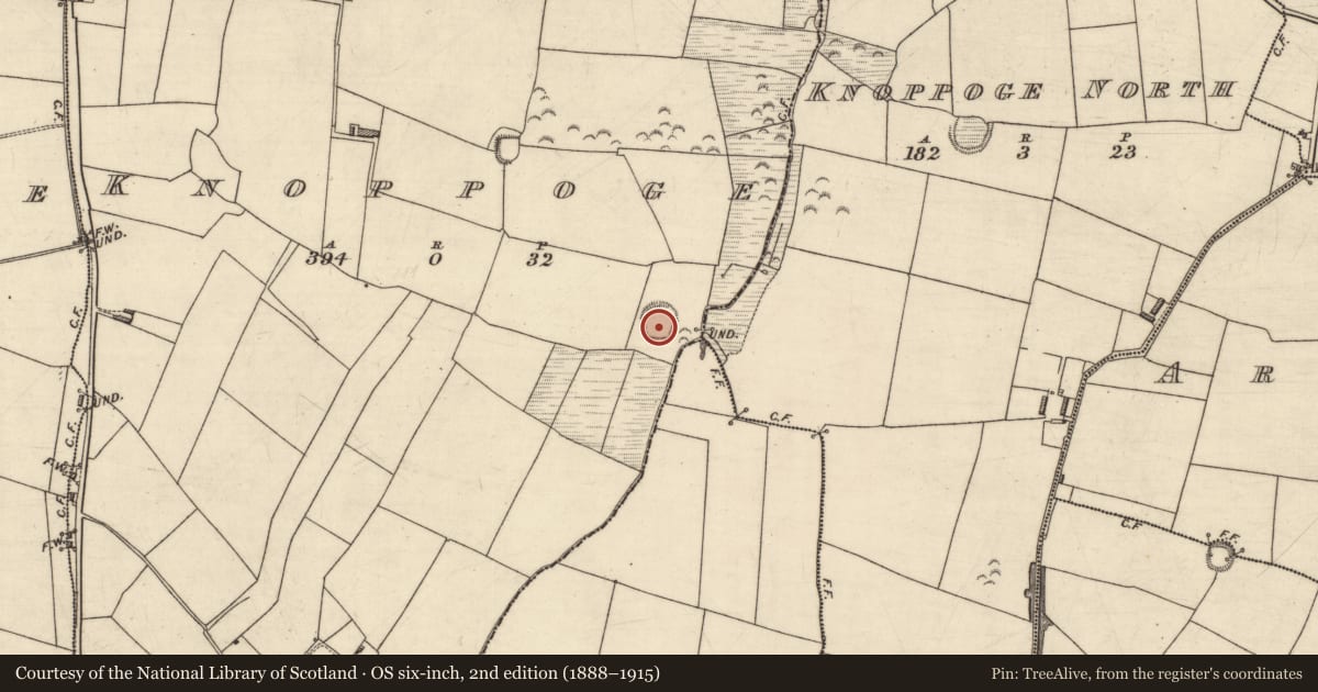 Ordnance Survey six-inch map, 2nd edition (1888–1915) covering the location of Ringfort - rath, Knoppoge, County Kerry, with a pin at the register's coordinates