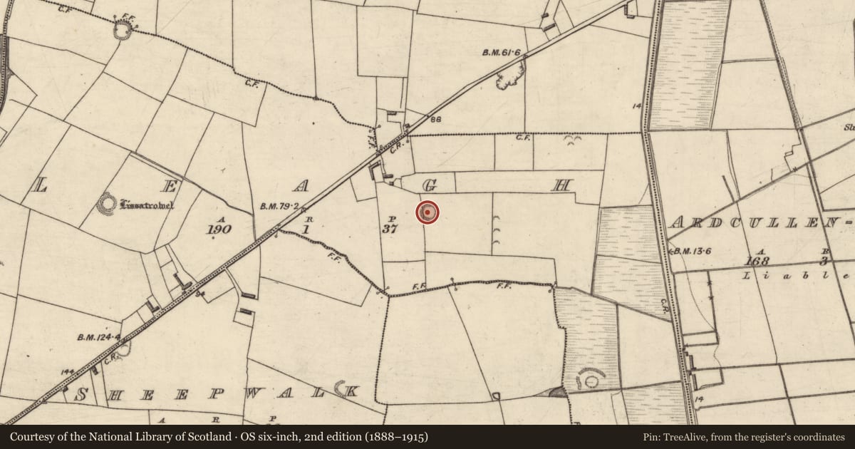 Ordnance Survey six-inch map, 2nd edition (1888–1915) covering the location of Ringfort - rath, Leagh, County Kerry, with a pin at the register's coordinates