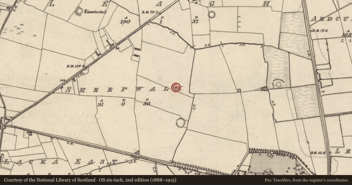 Ordnance Survey six-inch map, 2nd edition (1888–1915) covering the location of Enclosure, Sheepwalk, County Kerry, with a pin at the register's coordinates