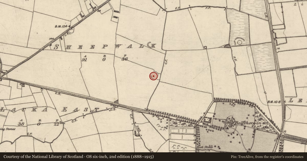 Ordnance Survey six-inch map, 2nd edition (1888–1915) covering the location of Ringfort - rath, Sheepwalk, County Kerry, with a pin at the register's coordinates