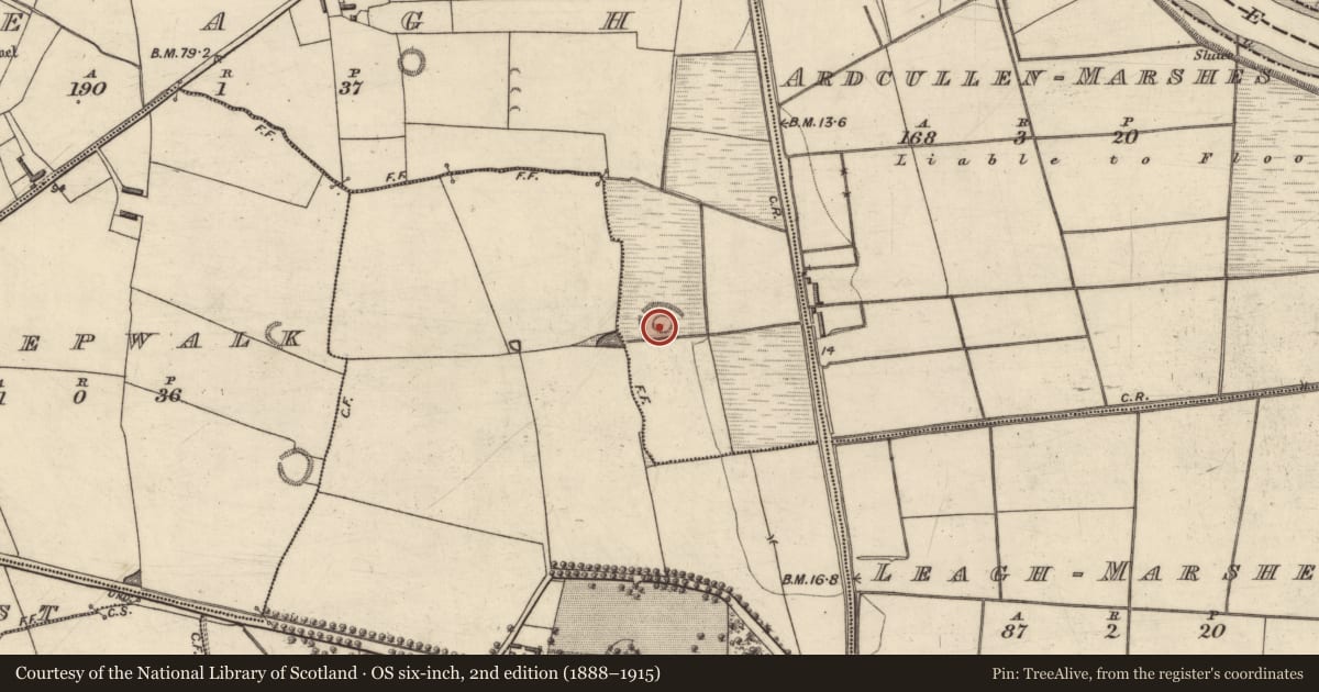 Ordnance Survey six-inch map, 2nd edition (1888–1915) covering the location of Ringfort - rath, Leagh, County Kerry, with a pin at the register's coordinates