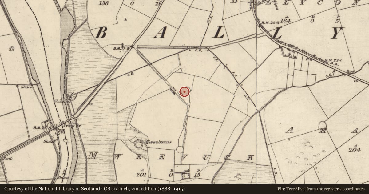 Ordnance Survey six-inch map, 2nd edition (1888–1915) covering the location of Ringfort - rath, Mweevuck, County Kerry, with a pin at the register's coordinates