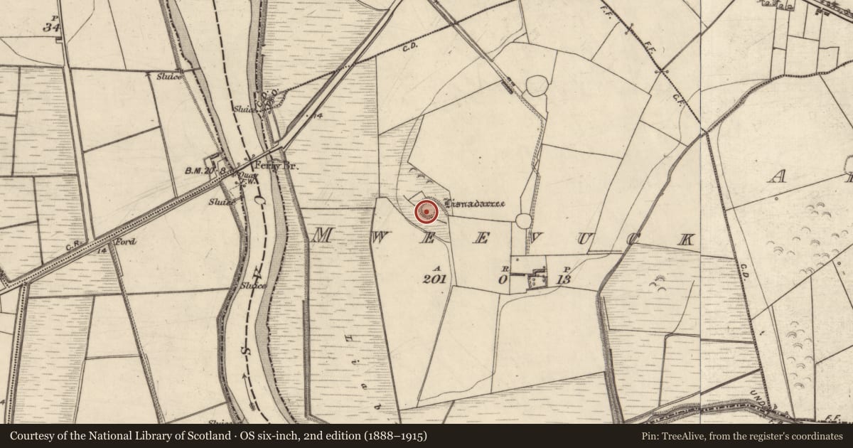 Ordnance Survey six-inch map, 2nd edition (1888–1915) covering the location of Ringfort - rath, Mweevuck, County Kerry, with a pin at the register's coordinates