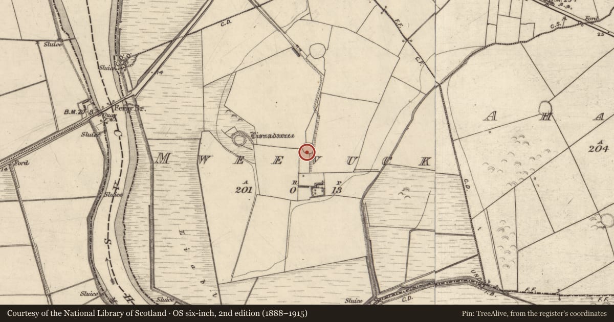 Ordnance Survey six-inch map, 2nd edition (1888–1915) covering the location of Mound, Mweevuck, County Kerry, with a pin at the register's coordinates