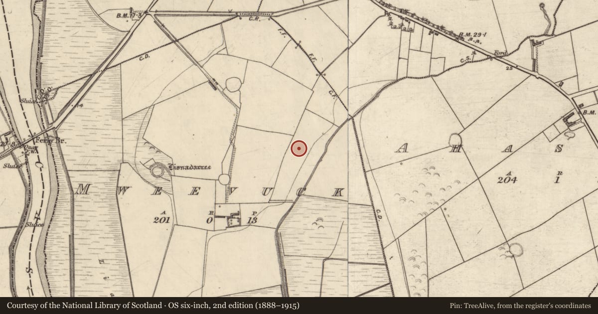 Ordnance Survey six-inch map, 2nd edition (1888–1915) covering the location of Ringfort - rath, Mweevuck, County Kerry, with a pin at the register's coordinates