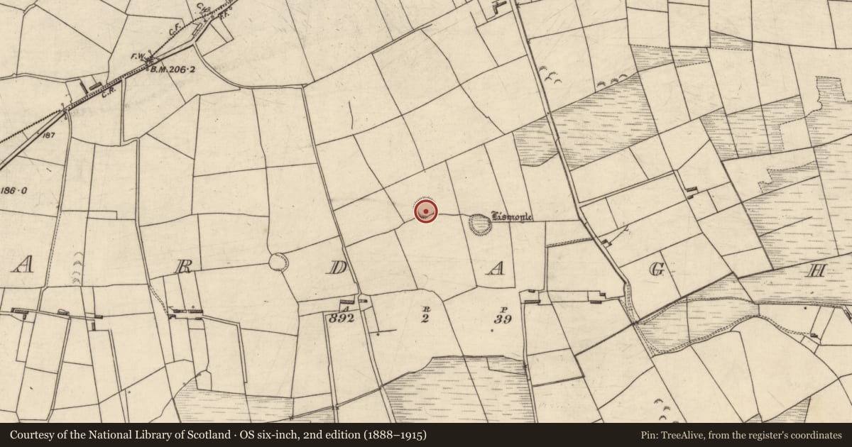 Ordnance Survey six-inch map, 2nd edition (1888–1915) covering the location of Ringfort - cashel, Ardagh, County Kerry, with a pin at the register's coordinates