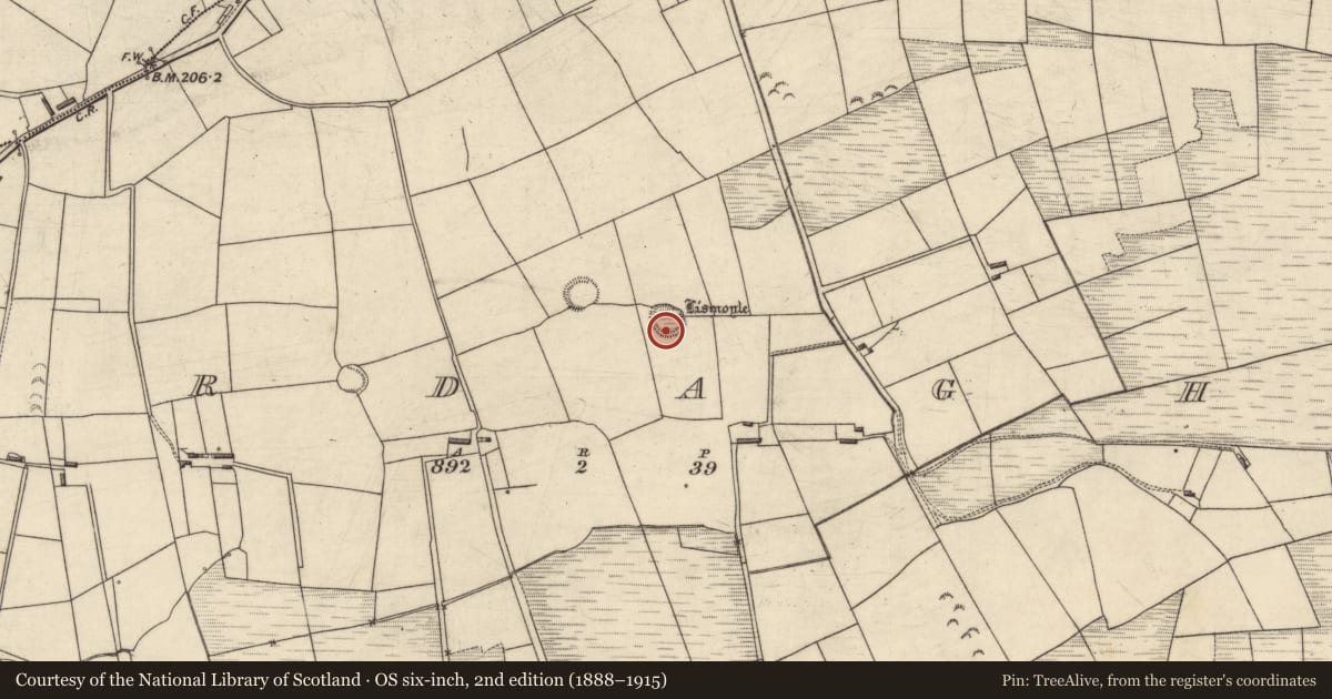 Ordnance Survey six-inch map, 2nd edition (1888–1915) covering the location of Hut site, Ardagh, County Kerry, with a pin at the register's coordinates