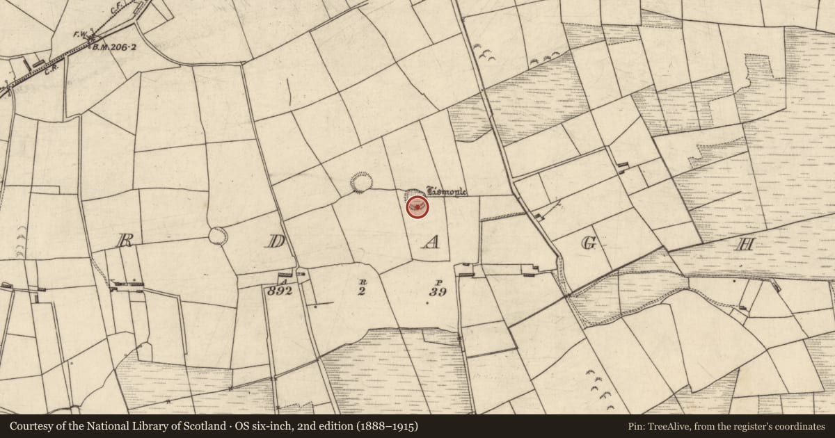 Ordnance Survey six-inch map, 2nd edition (1888–1915) covering the location of Hut site, Ardagh, County Kerry, with a pin at the register's coordinates