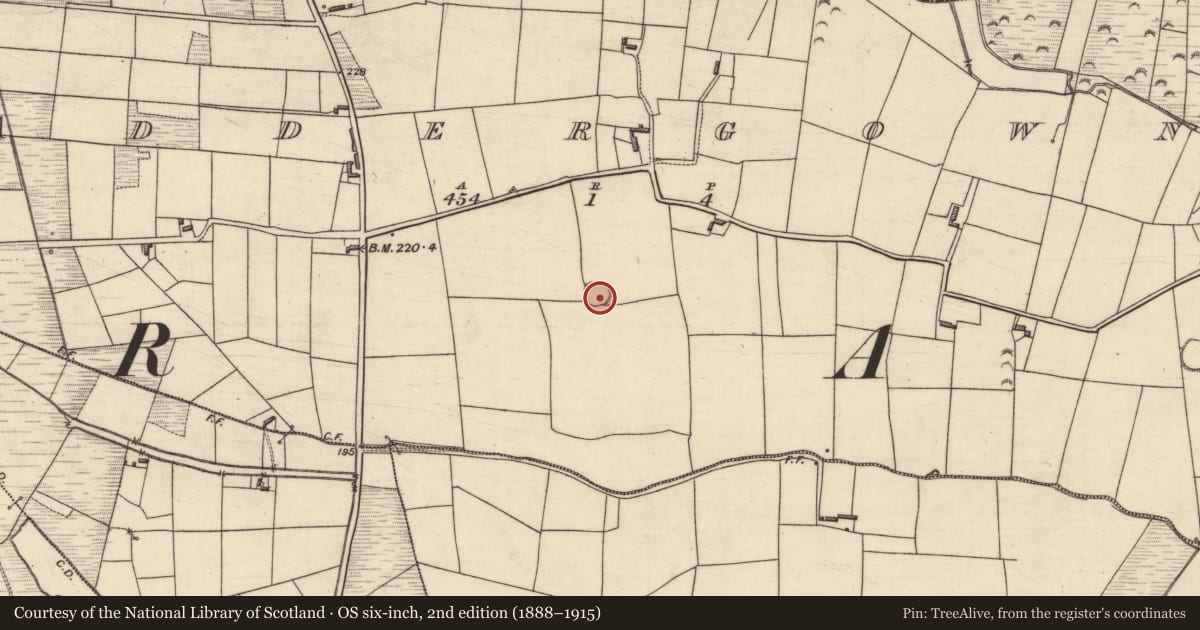 Ordnance Survey six-inch map, 2nd edition (1888–1915) covering the location of Ringfort - cashel, Addergown, County Kerry, with a pin at the register's coordinates