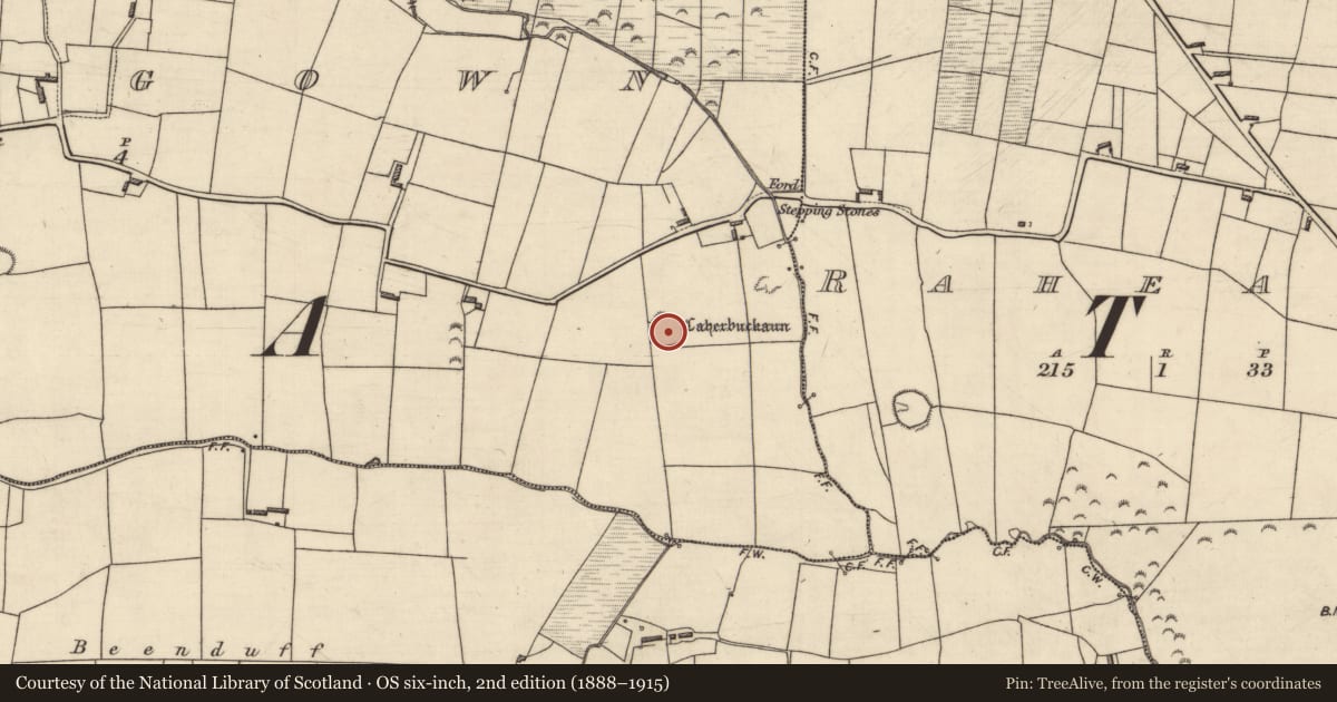Ordnance Survey six-inch map, 2nd edition (1888–1915) covering the location of Souterrain, Addergown, County Kerry, with a pin at the register's coordinates