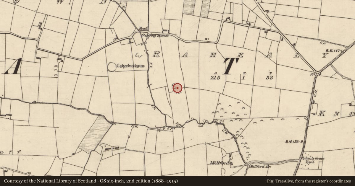 Ordnance Survey six-inch map, 2nd edition (1888–1915) covering the location of Ringfort - cashel, Rahealy, County Kerry, with a pin at the register's coordinates